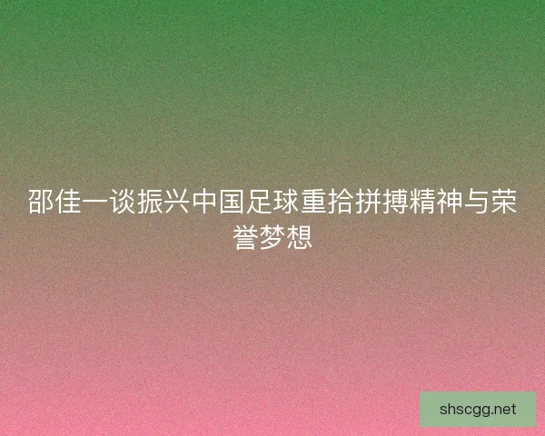 邵佳一谈振兴中国足球重拾拼搏精神与荣誉梦想