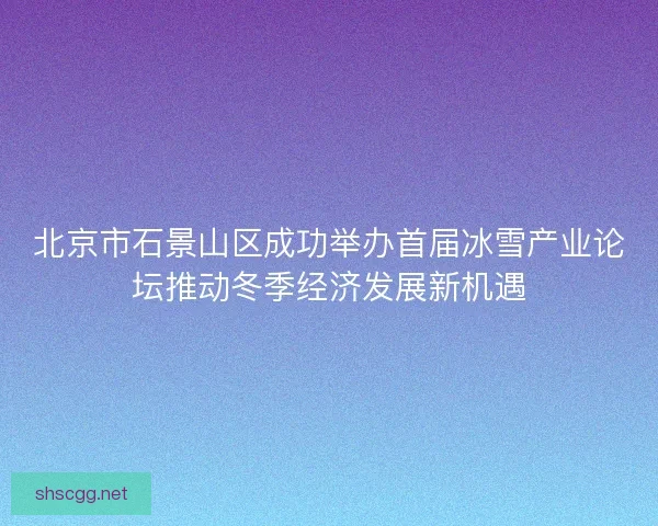 北京市石景山区成功举办首届冰雪产业论坛推动冬季经济发展新机遇 北京市石景山区成功举办首届冰雪产业论坛推动冬季经济发展新机遇